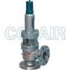 A40Y-64C，A40Y-64I，A40Y-100C，A40Y-100I，帶封閉散熱器彈簧全啟式安全閥