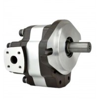 G5-5,G5-6,G5-8,G5-12-1E13S-20-R,G5-10,G5-12,G5-16,G5-30-1E13S-20R，G5-20,G5-25,G5-30,G5-25-A13S-20-R，單聯(lián)齒輪泵
