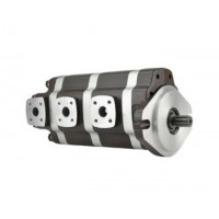 G5-25-20-12-08-1E13S-20L，G5-12-8-6-AH15S-20-L，G5-8-8-10-1E13S-20R,G5-25-10-10-1E13S-20R，多聯(lián)高壓齒輪泵